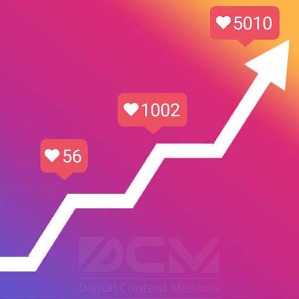 follower growth package service image